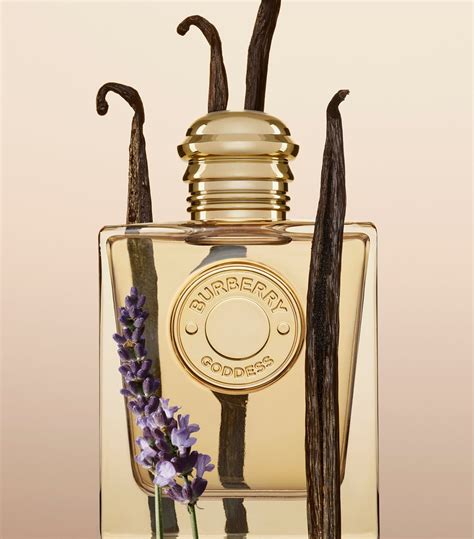 prix du parfum burberry|where to buy burberry perfume.